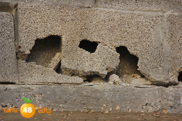 sakis family ard 826 (4).JPG